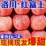 洛川红富士/产区直发/大量有货/当天发车