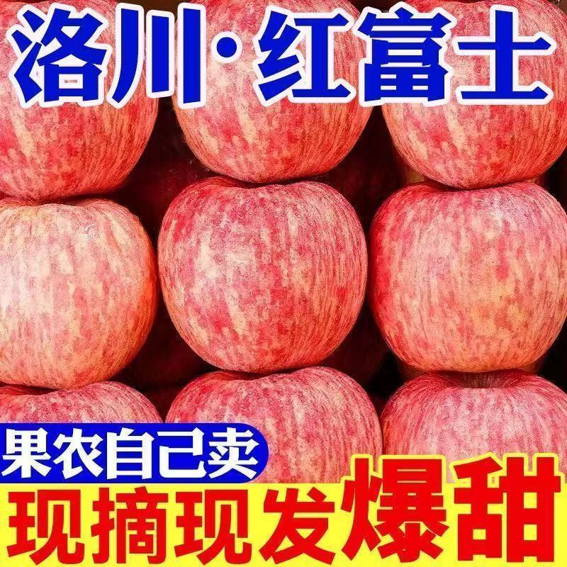 洛川红富士/产区直发/大量有货/当天发车