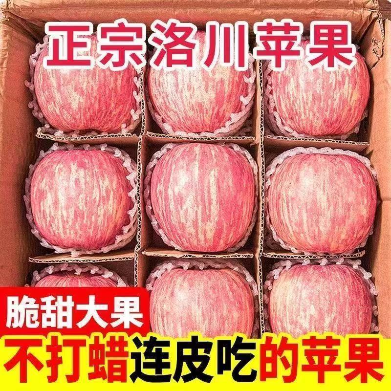 洛川红富士/产区直发/大量有货/当天发车