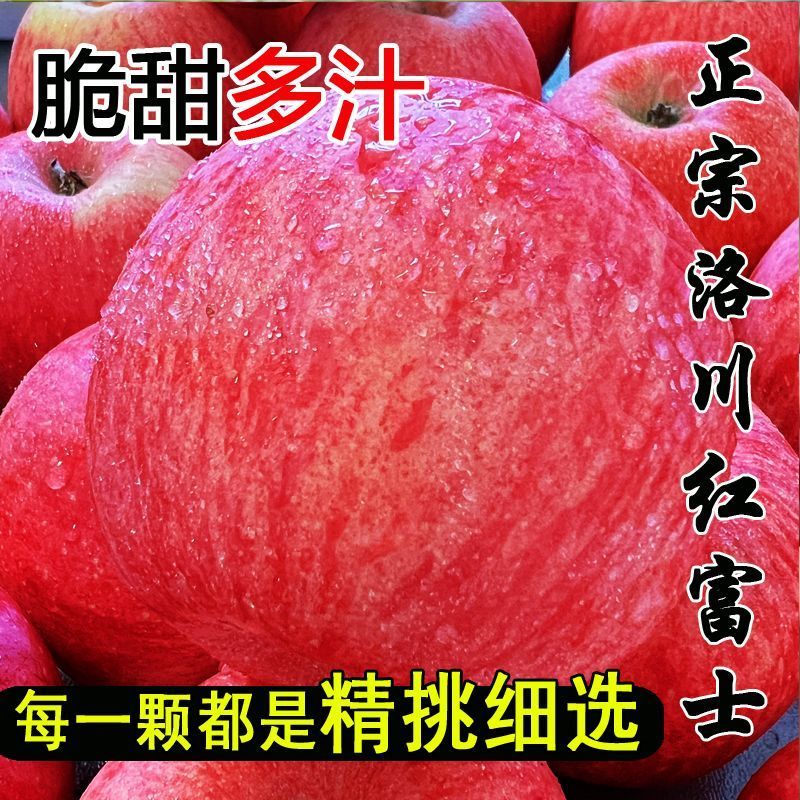 洛川红富士/产区直发/大量有货/当天发车