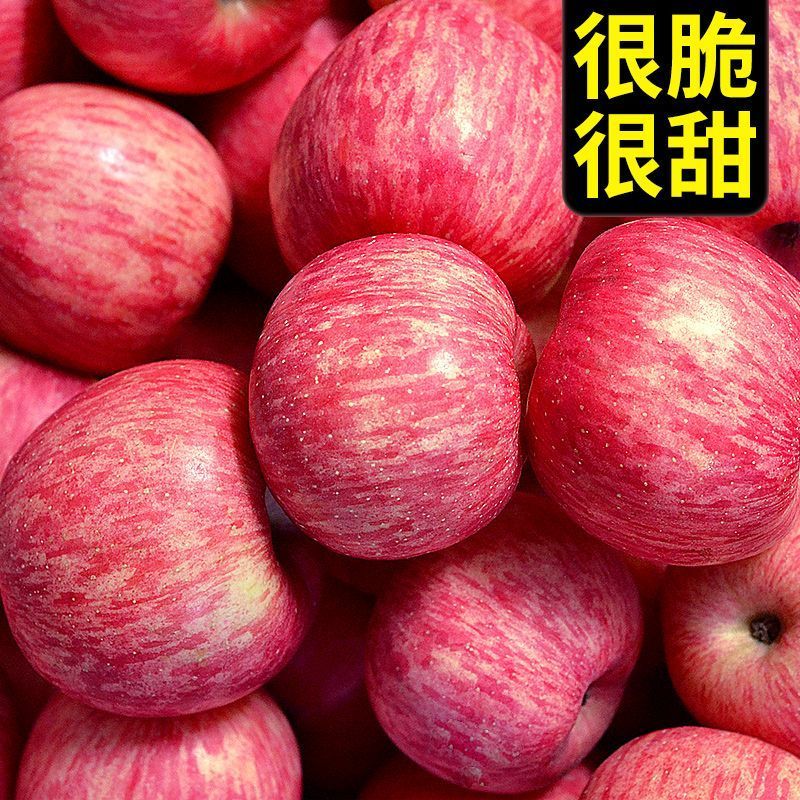 洛川红富士/产区直发/大量有货/当天发车