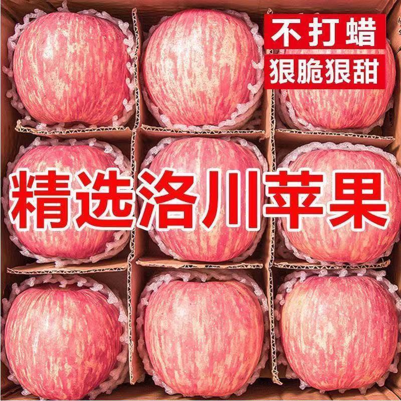 洛川红富士/产区直发/大量有货/当天发车