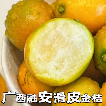 一件代发【广西融安滑皮金桔】