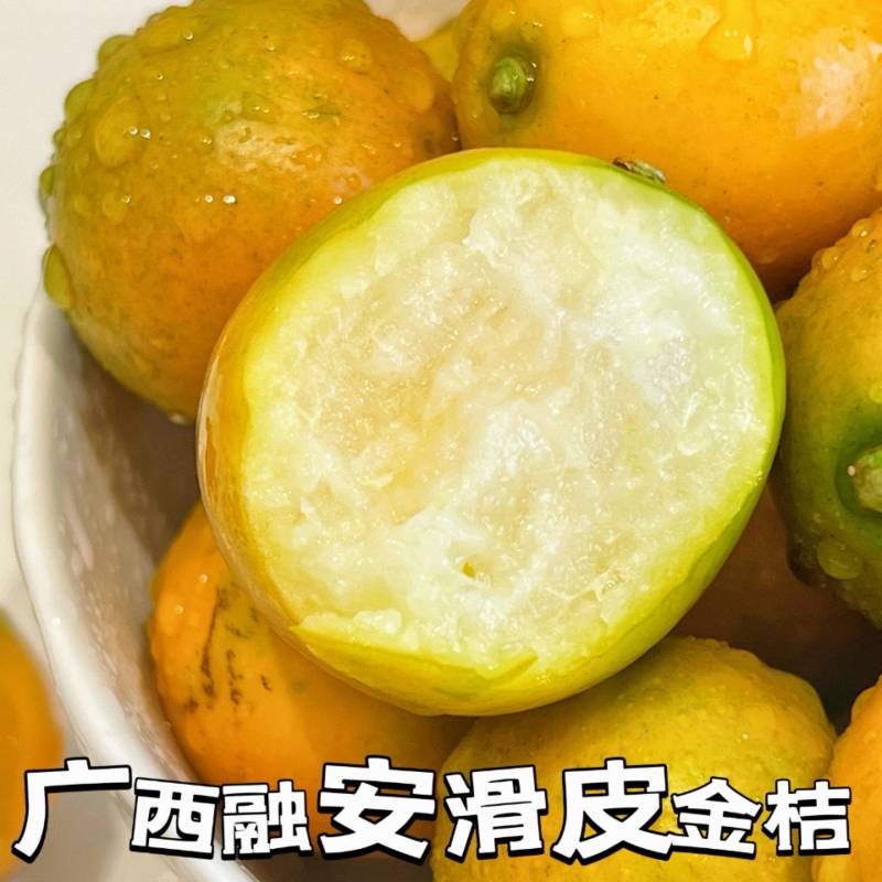 一件代发【广西融安滑皮金桔】
