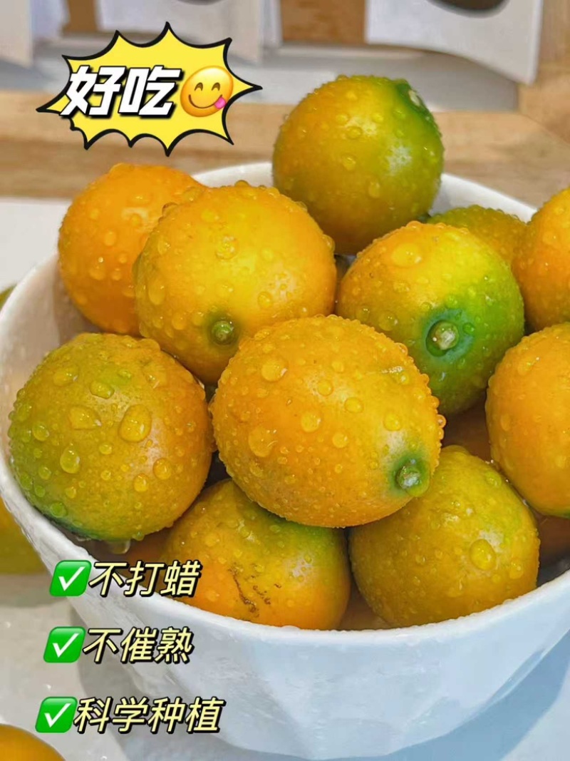 一件代发【广西融安滑皮金桔】