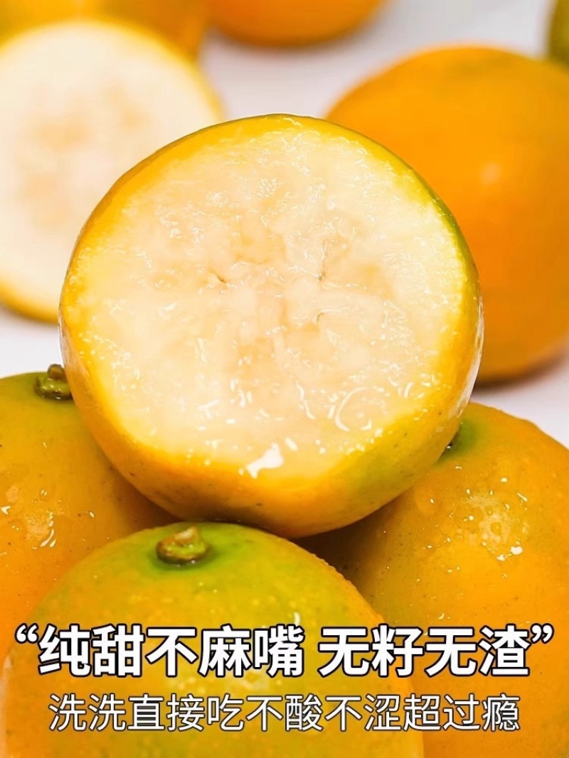 一件代发【广西融安滑皮金桔】