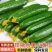 水果小黄瓜,大量供应,表皮光滑无刺,质量保证,欢迎电联