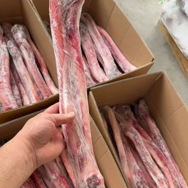 单根大鞭