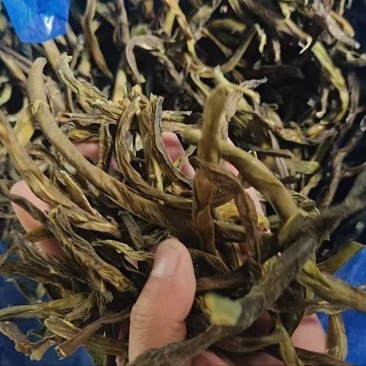 山东干豆角产地直供，电商/工厂/市场可视频看货