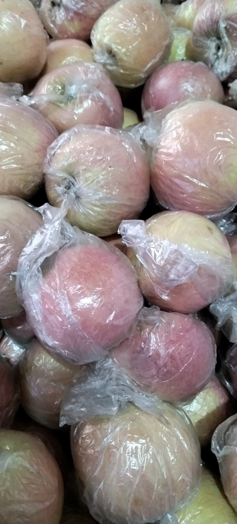纸加膜红富士