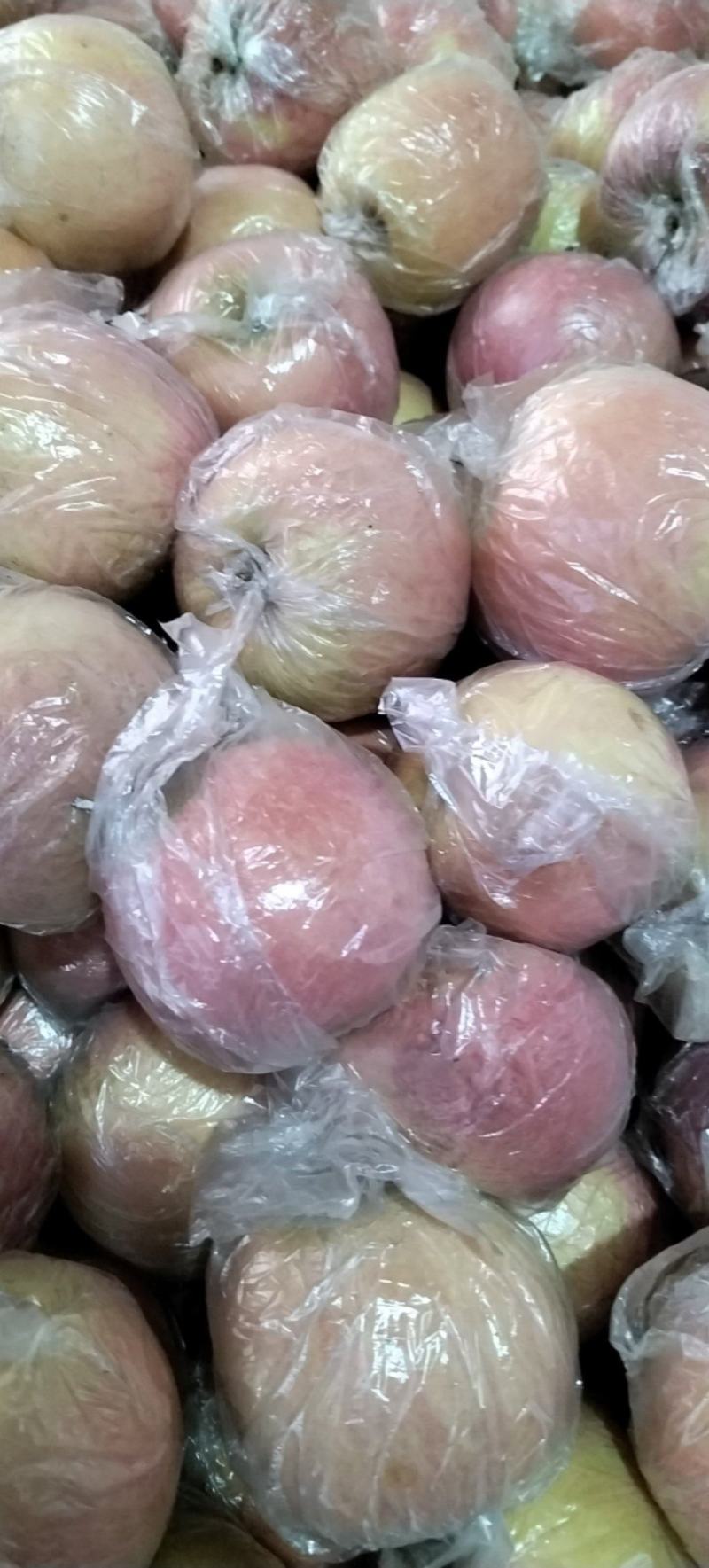 纸加膜红富士