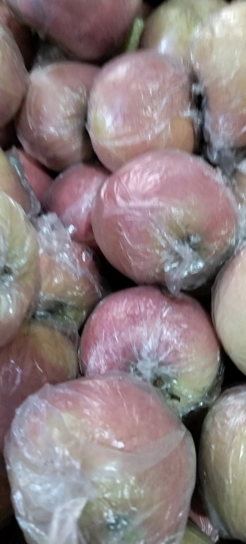 纸加膜红富士