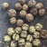 核桃云南大麻薄皮185纸皮核桃电商代发