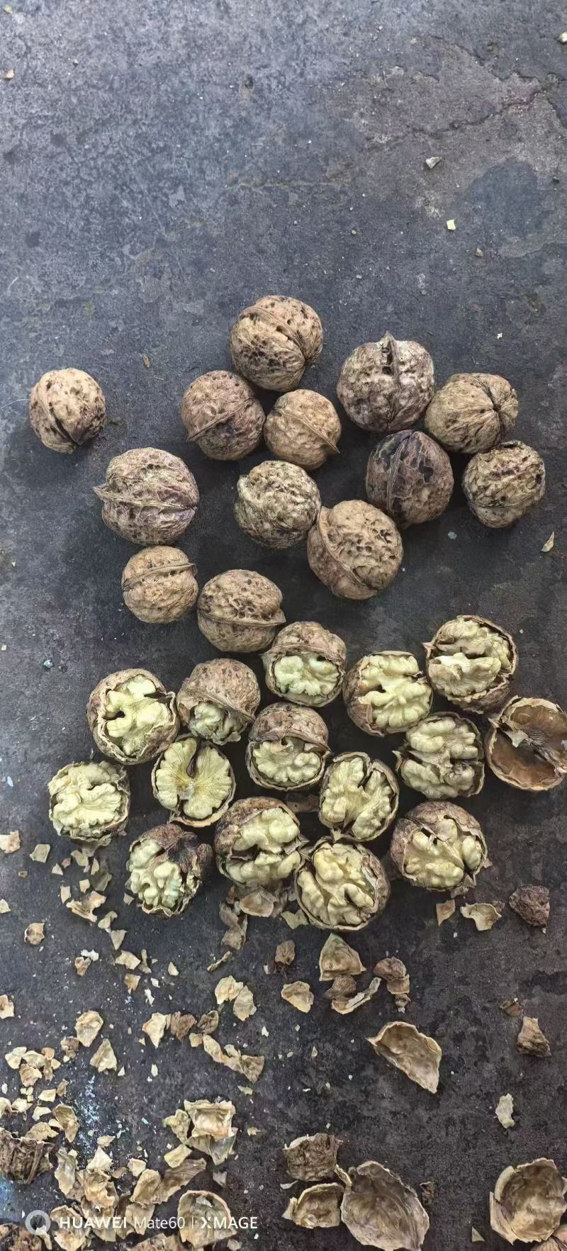 核桃云南大麻薄皮185纸皮核桃电商代发