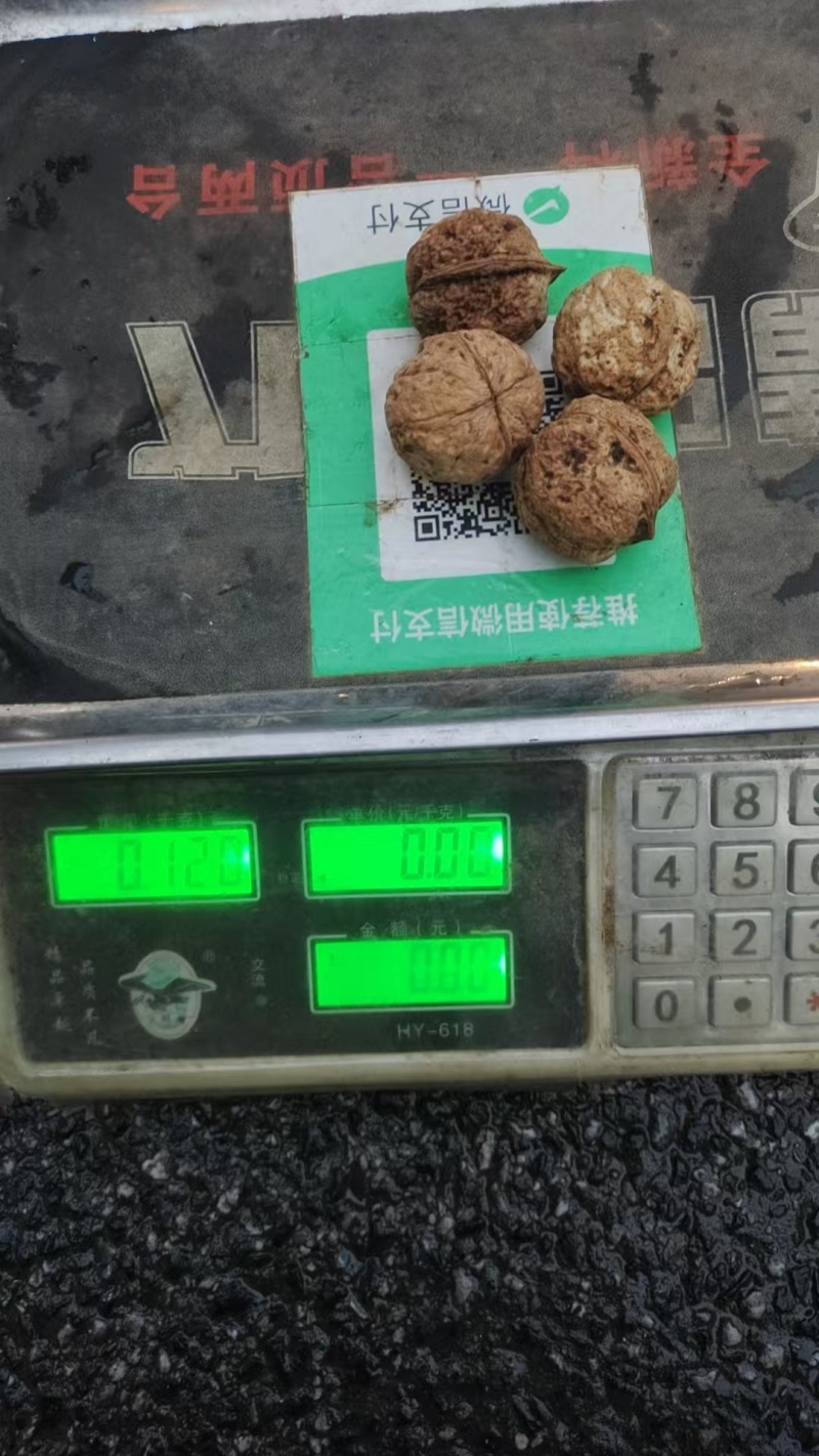 核桃云南大麻薄皮185纸皮核桃电商代发