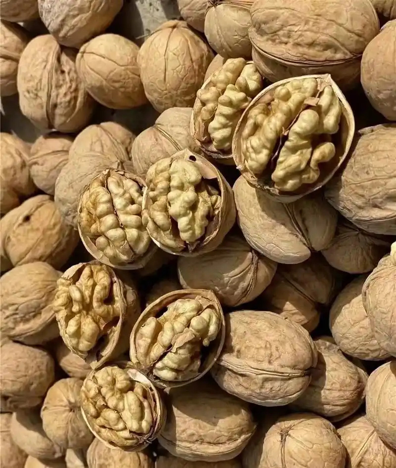 核桃云南大麻薄皮185纸皮核桃电商代发