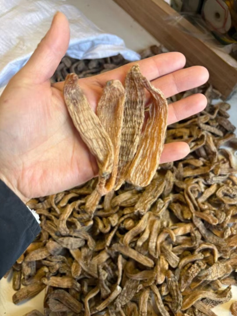各种天麻
