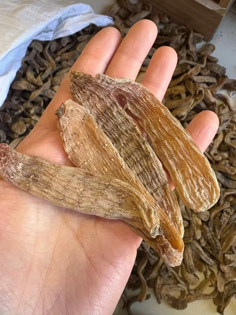 各种天麻