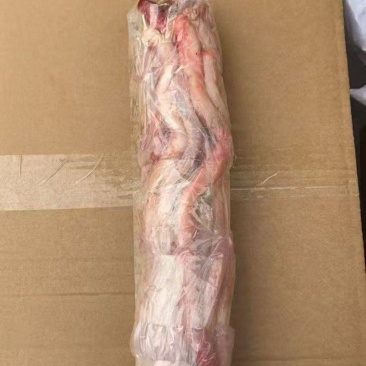 山羊鞭