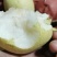 各种梨，