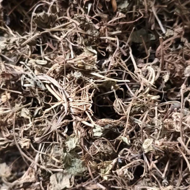 积雪草