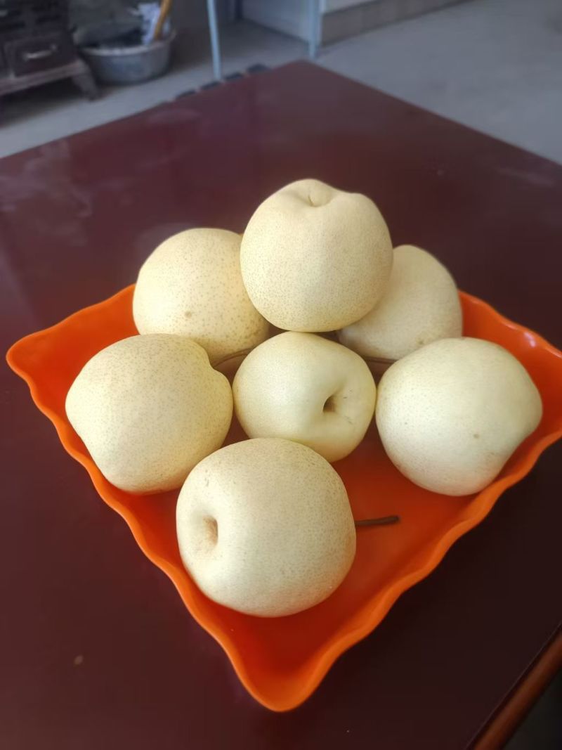 各种梨，