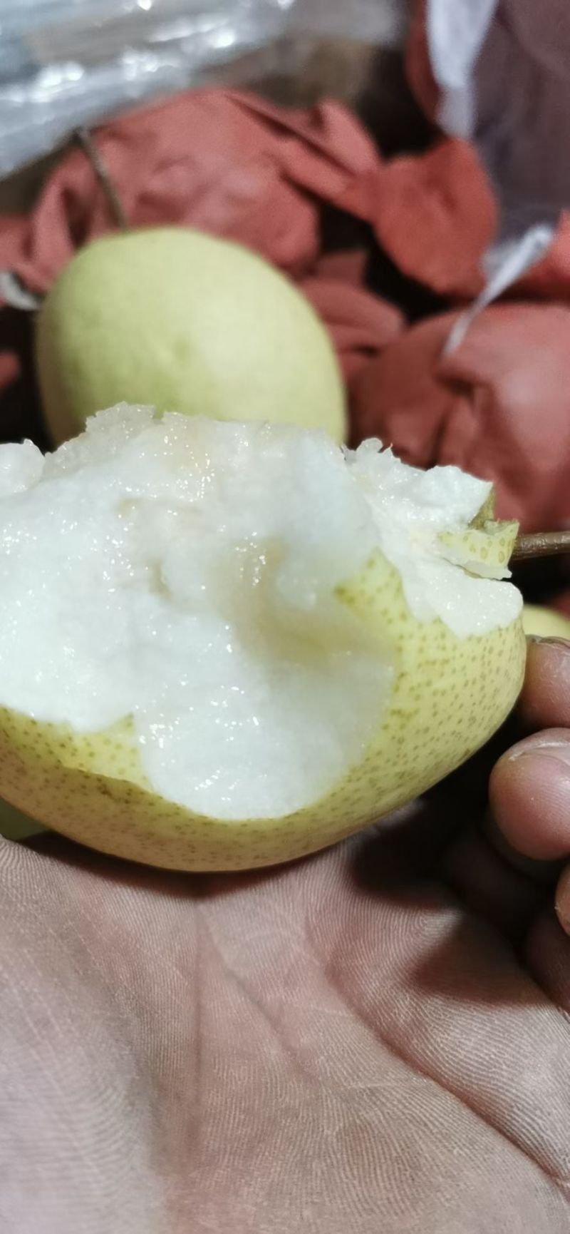 各种梨，