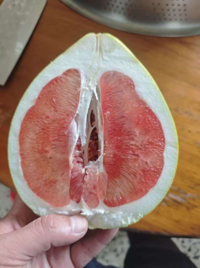 福建红心柚（精品柚子）规格齐全，可一件代发，批发视频看货