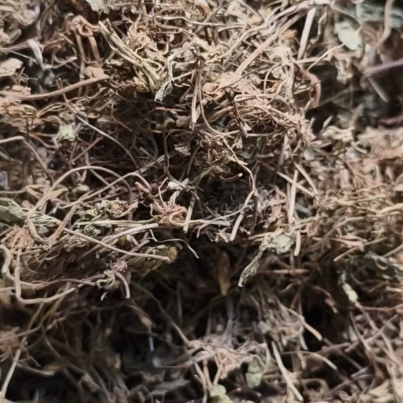 积雪草