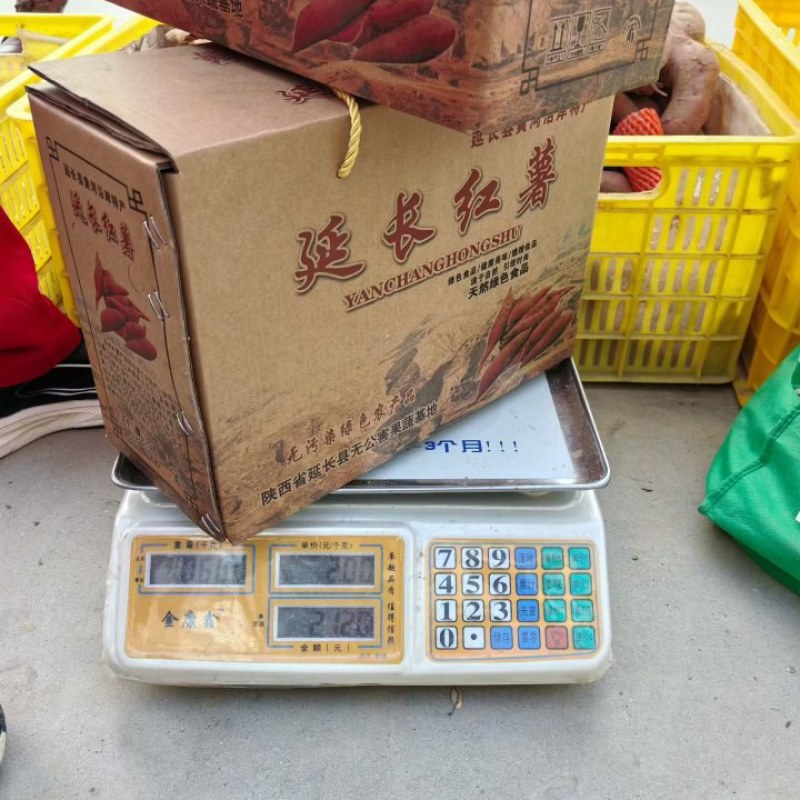 延长特产，****的老品种红薯