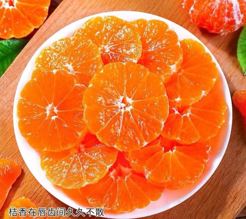 正宗湖北宜昌蜜橘，皮薄多汁，大量现货供应，一件代