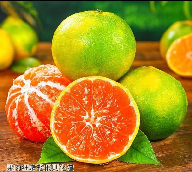 正宗湖北宜昌蜜橘，皮薄多汁，大量现货供应，一件代