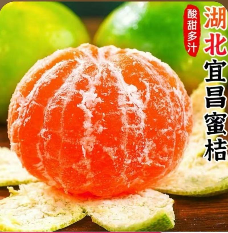 正宗湖北宜昌蜜橘，皮薄多汁，大量现货供应，一件代