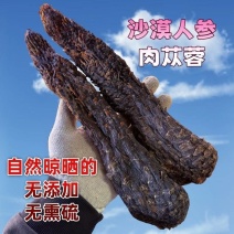 肉苁蓉油性软质肉苁蓉肉厚肉从容一手货源