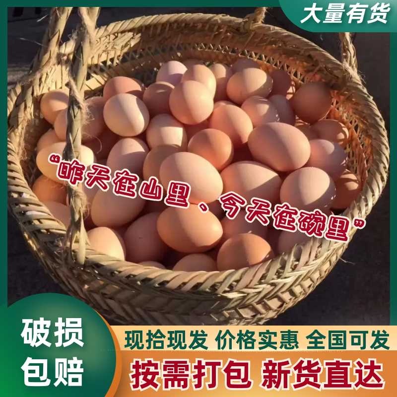 皖南土鸡蛋散养土鸡蛋精品包装新货直发欢迎电联