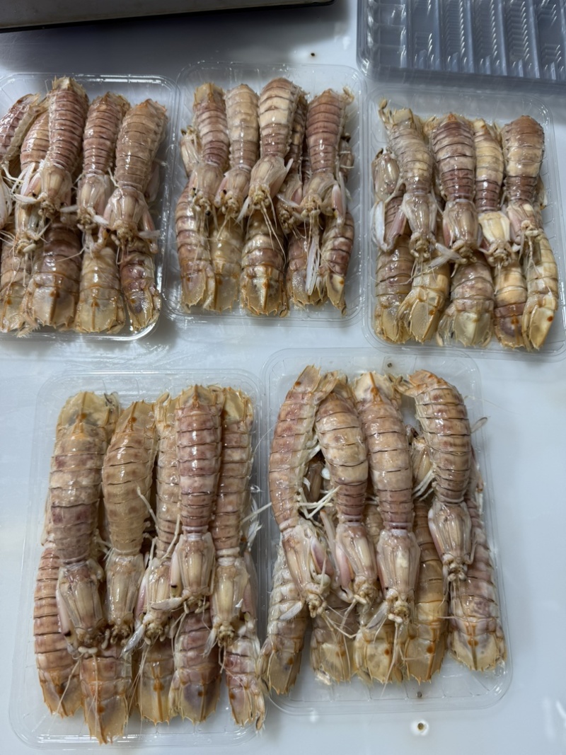 鲜活皮皮虾熟冻赖尿虾虾爬子海鲜海虾北海水产