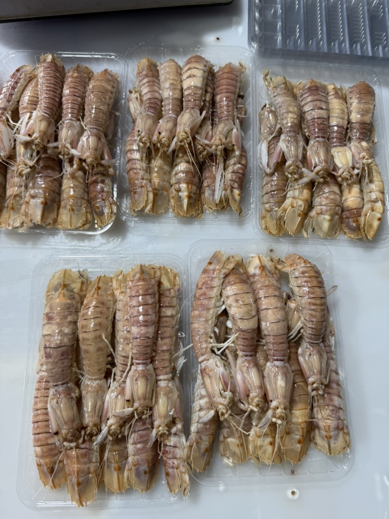 鲜活皮皮虾熟冻赖尿虾虾爬子海鲜海虾北海水产