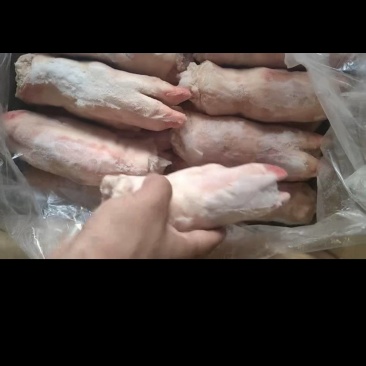 19-21次一级猪蹄