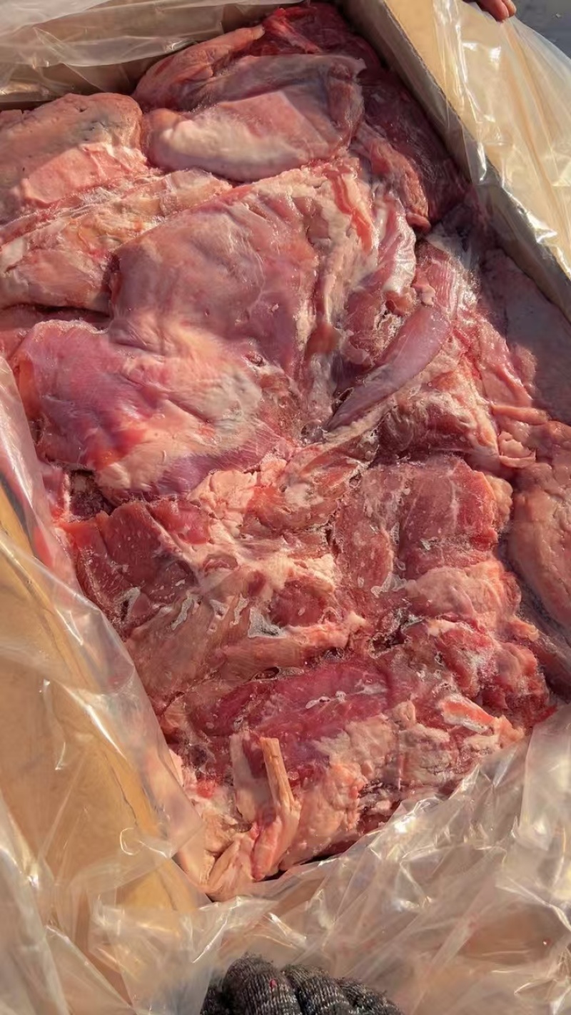 纯干羊板肉