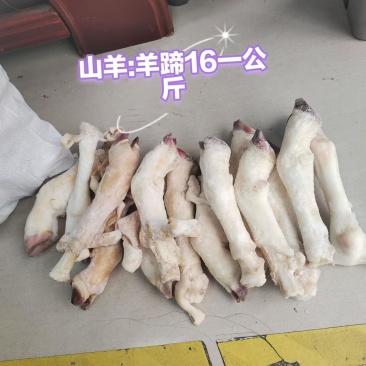羊蹄
