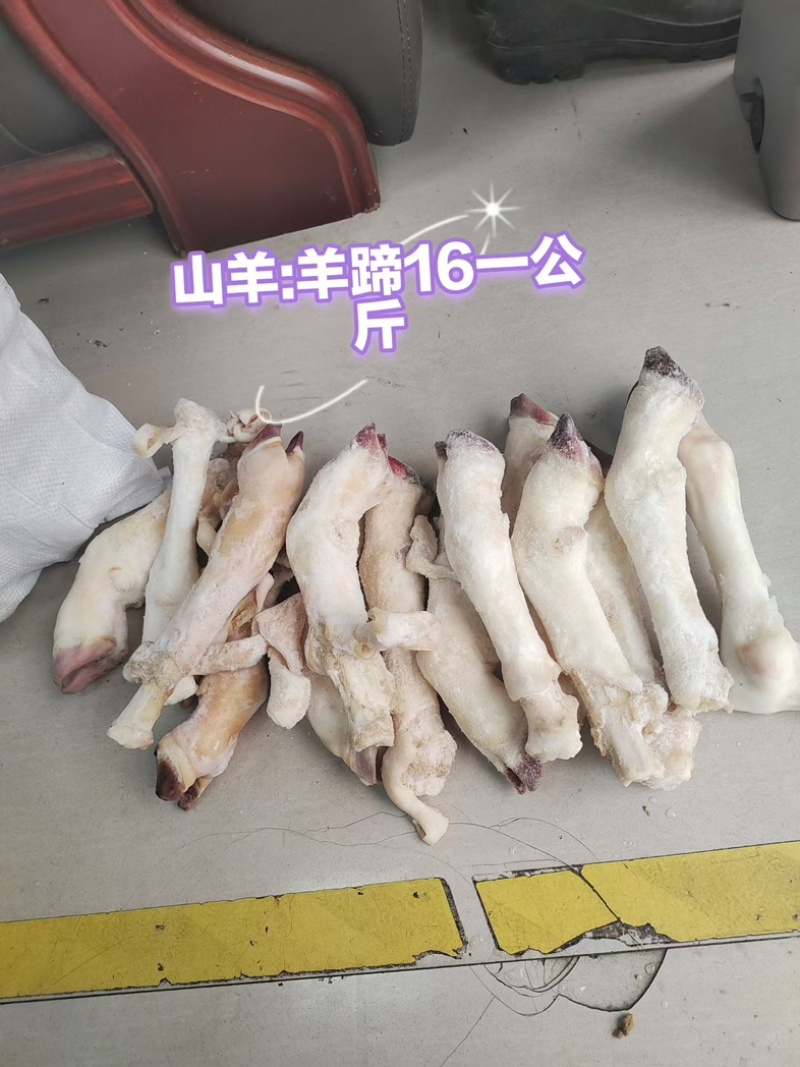 羊蹄