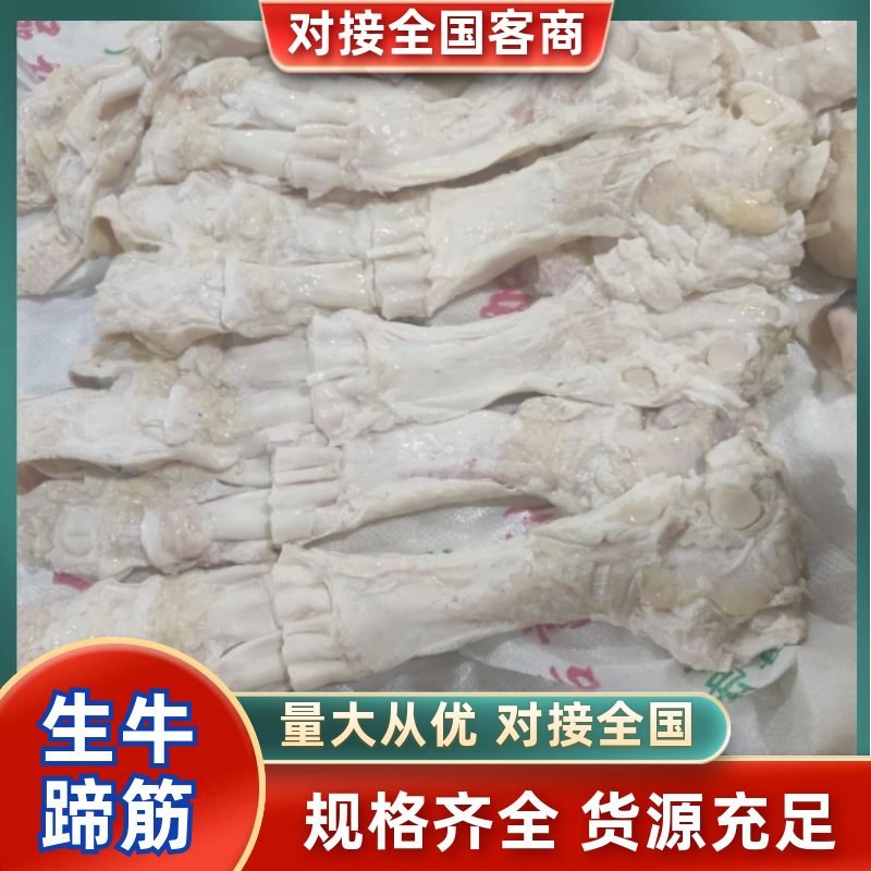 【生牛蹄筋-求合作】批发50斤牛杂去皮生牛蹄筋牛主筋
