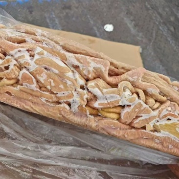 育肥小肠