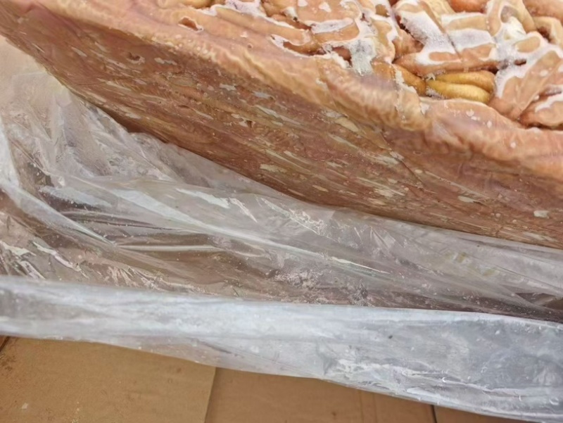 育肥小肠