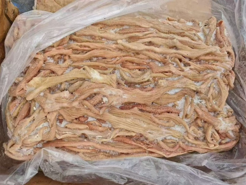育肥小肠