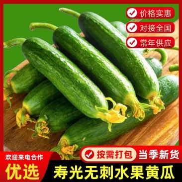 脆嫩水果小黄瓜,产地直发,品质保证,欢迎来电咨询选购