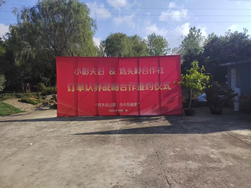 皖南土鸡蛋散养土鸡蛋精品包装新货直发欢迎电联