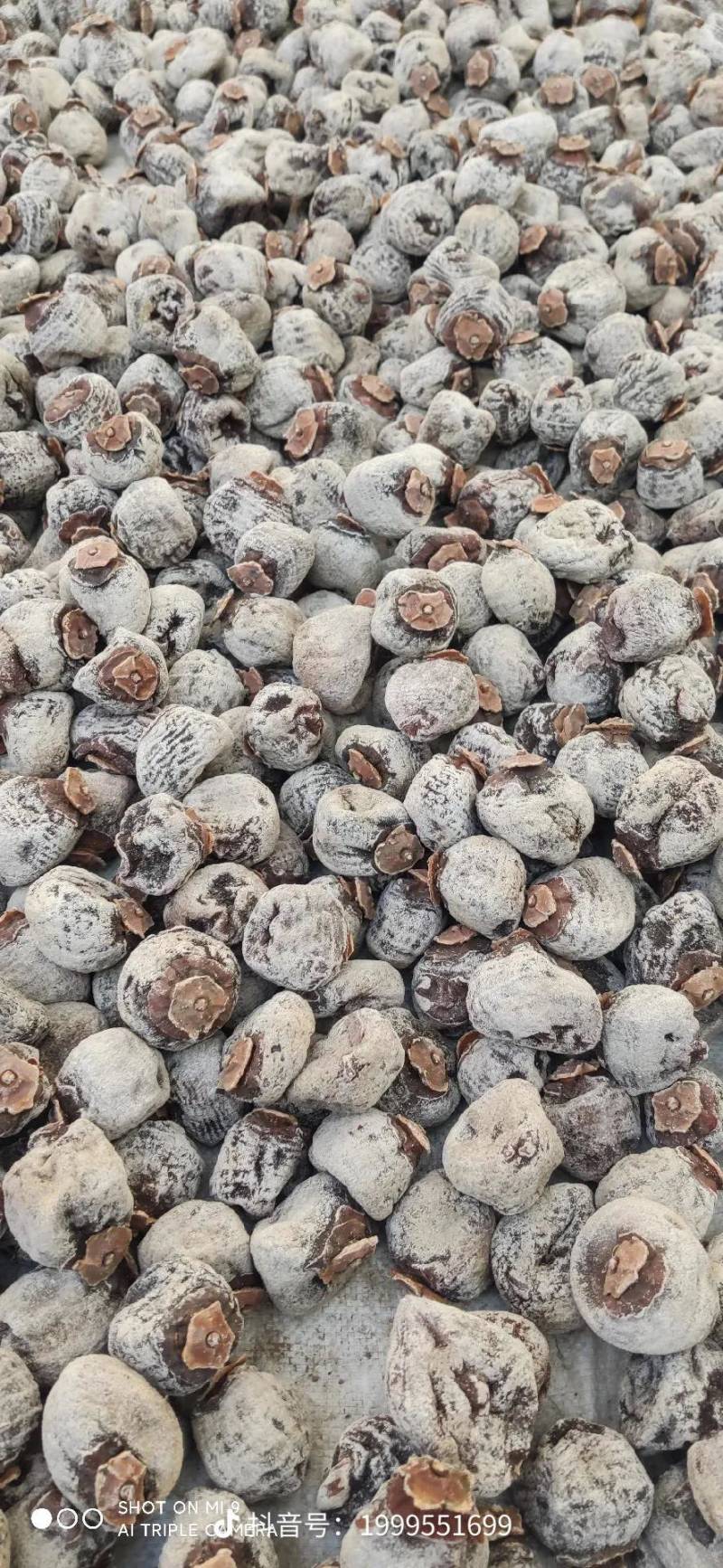 【产地电商货】老柿饼自然上霜，各大平台一件代发。