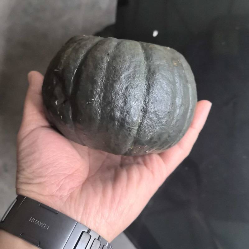 贝贝南瓜