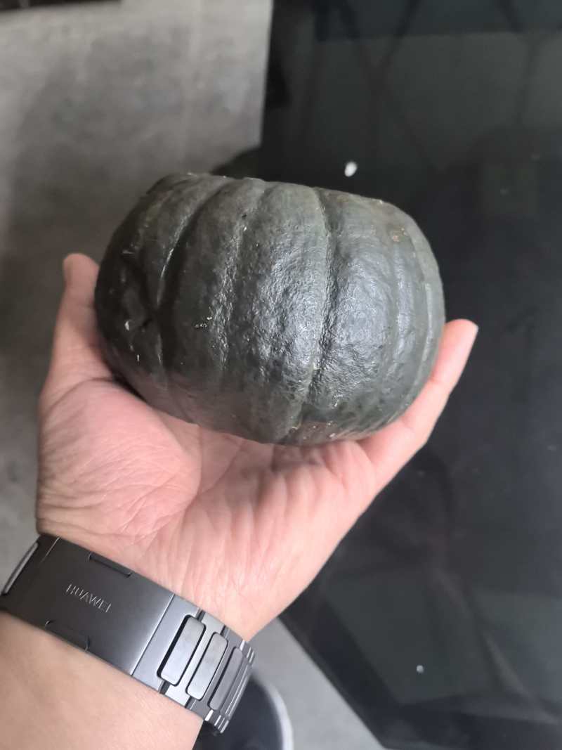 贝贝南瓜